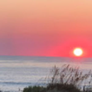 Meet your Posher, Stephen